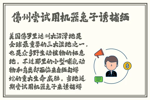 aiss无圣光趣事宅福利